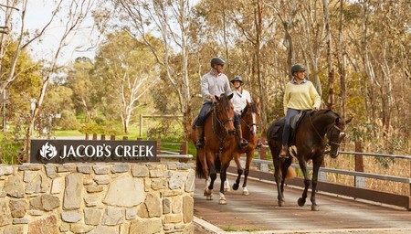 Scenic Trail Ride and Private Curated Tasting Experience