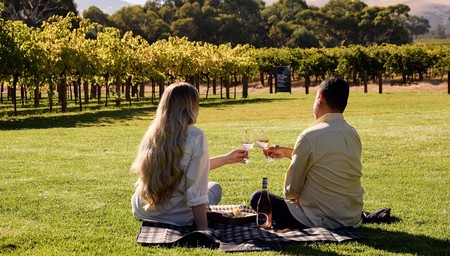 Romantic Vineyard Horse Riding & Picnic Experience