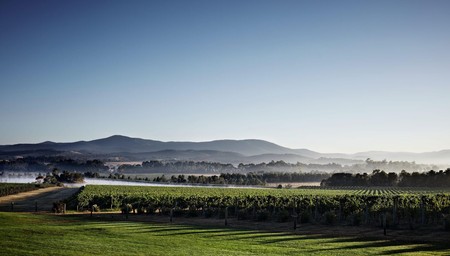 Tour the Barossa with Tours by Marquee