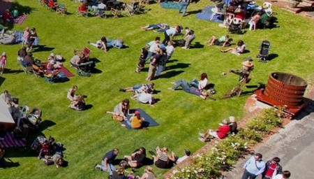 Yalumba Great Picnic