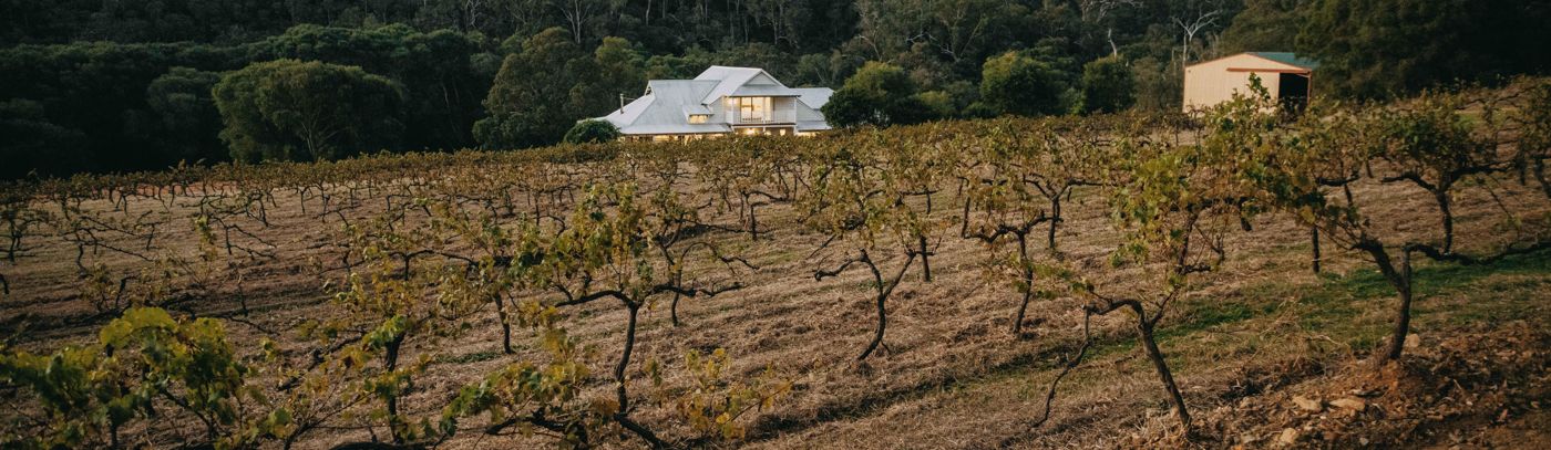 The Ampersand Estates Experience - A Marriage of Luxury & Nature