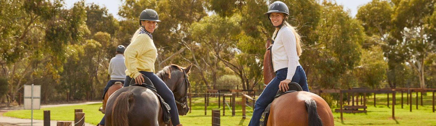 Vineyard Horse Ride and Tasting Experience