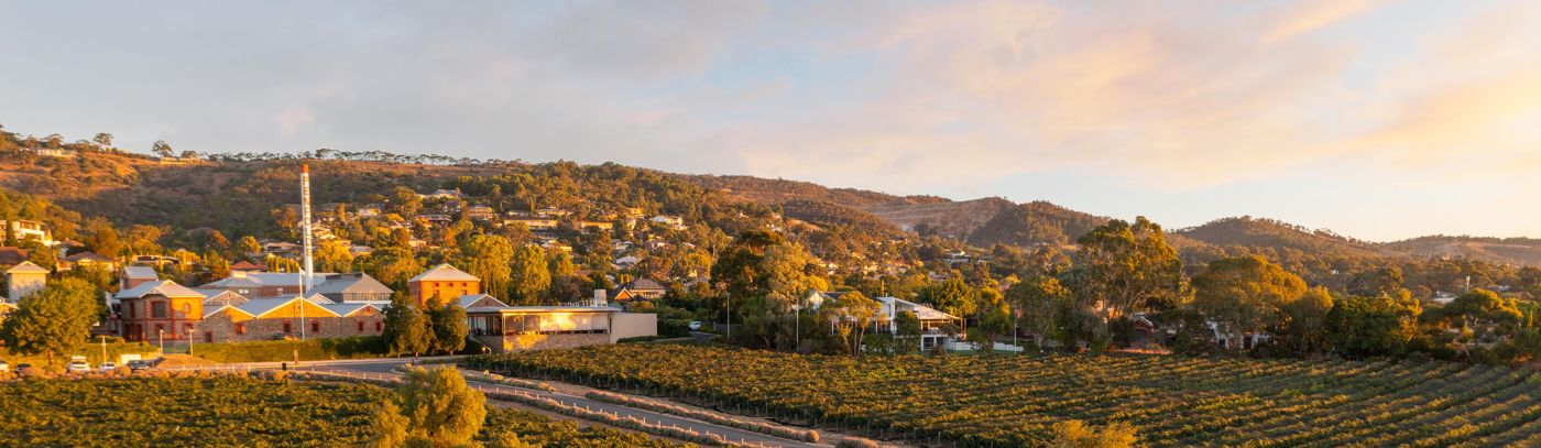 Penfolds Heritage Tour & Taste