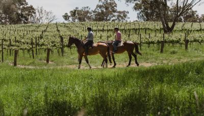 Give a wine experience this Father’s Day