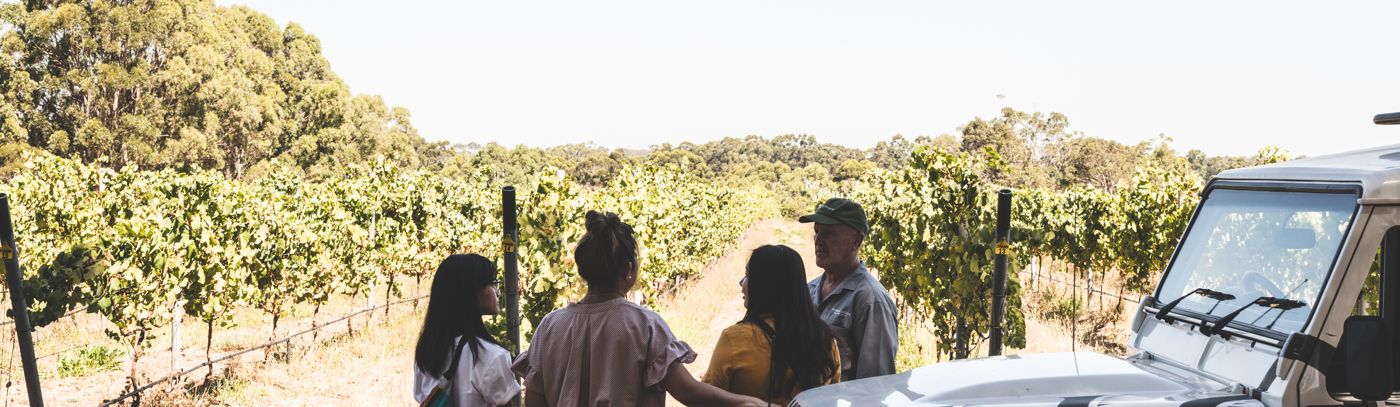 Experiences for the Curious Connoisseur