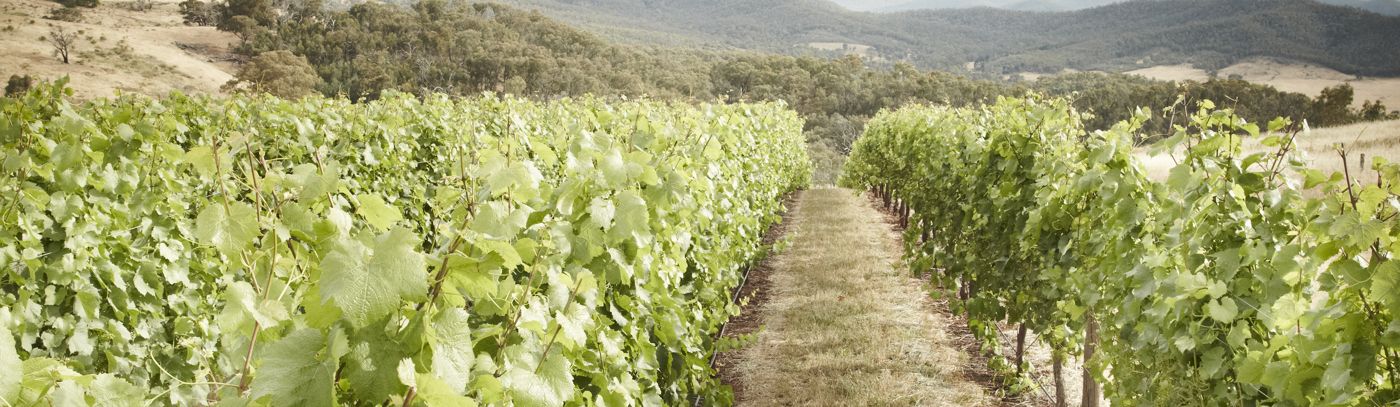 The 2023 Patricia Ball