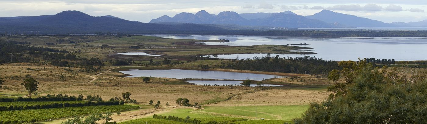 Tour Tasmania's East Coast with Localing