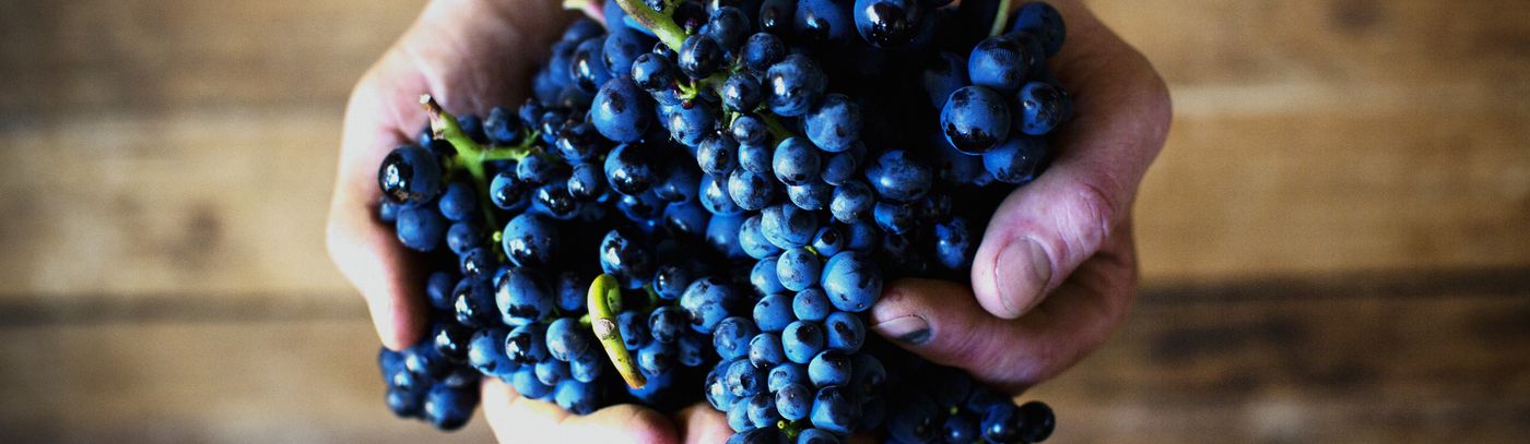 $200 Ultimate Winery Gift Voucher