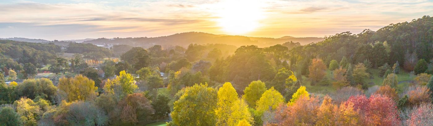 Tour McLaren Vale with Taste of SA