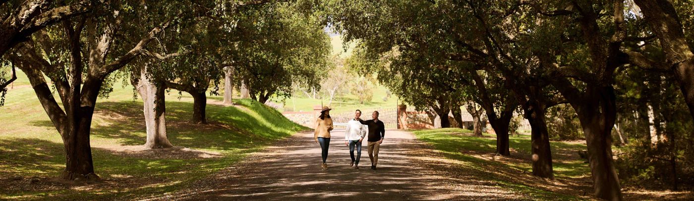 St Hugo - from Vine to Vault